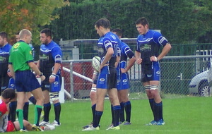 Les guêpes ont pris l'eau à St Priest