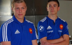 Quand les guêpes se métamorphosent en coqs…