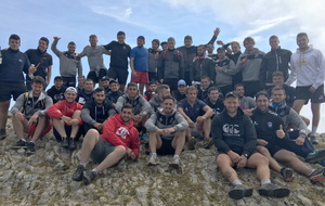 Les guêpes au sommet !