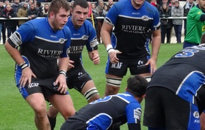 Les guêpes trébuchent…