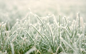 Nouveau dimanche sans match...