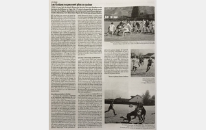 L'article de la semaine 24-02-2017