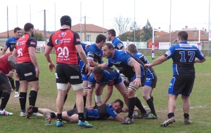 Les guêpes chutent à Annonay