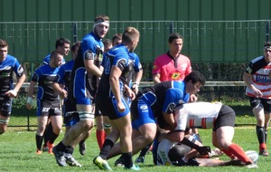 Les guêpes ont assuré l'essentiel...