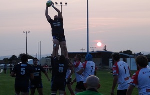 Les guêpes confirment...