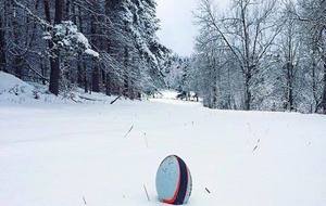 Solidarité bleue et noire