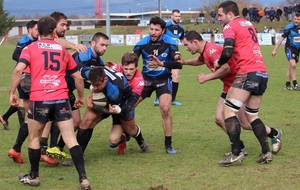 Les guêpes sur courant alternatif...