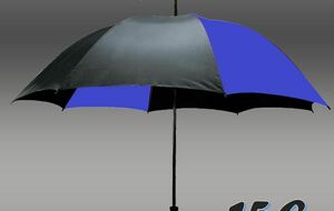 Parapluie bleu et noir