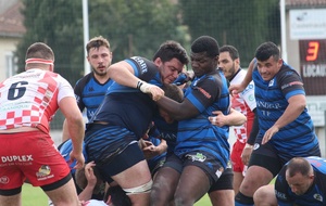 Les guêpes en boite