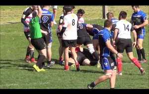 Puillet 2017-03-26 (2)