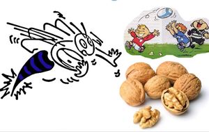 21ème tournoi de la noix