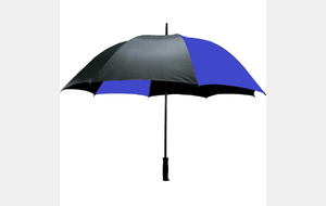 Parapluie bleu et noir