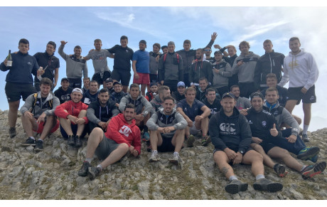 Les guêpes au sommet !