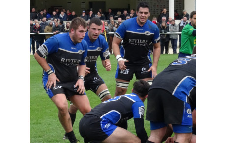 Les guêpes trébuchent…