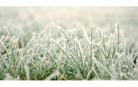 Nouveau dimanche sans match...