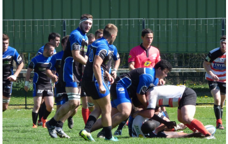 Les guêpes ont assuré l'essentiel...