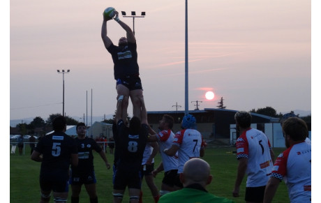 Les guêpes confirment...