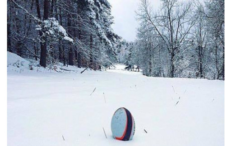 Solidarité bleue et noire