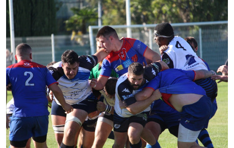 Les guêpes voyagent bien