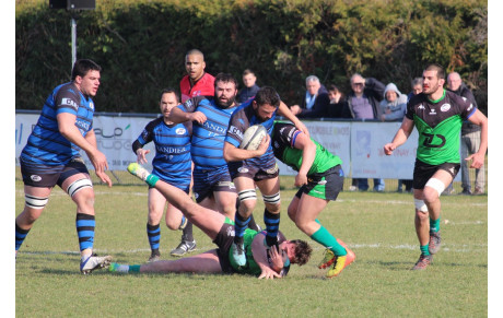 Les guêpes sont tombées dans le panneau !