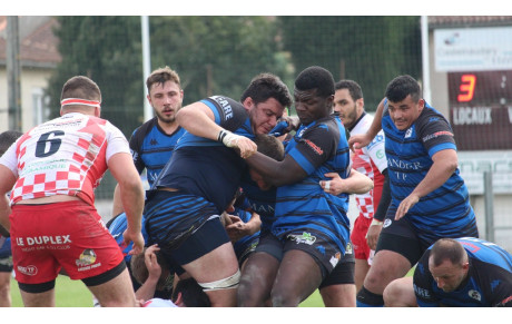 Les guêpes en boite